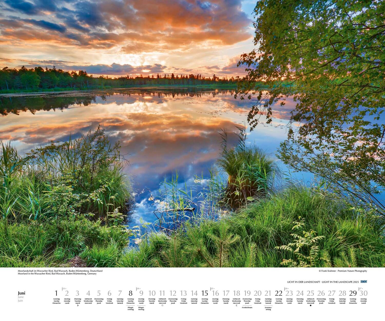 Bild: 4250809652757 | Licht in der Landschaft 2025 - Wandkalender 60,0 x 50,0 cm -...