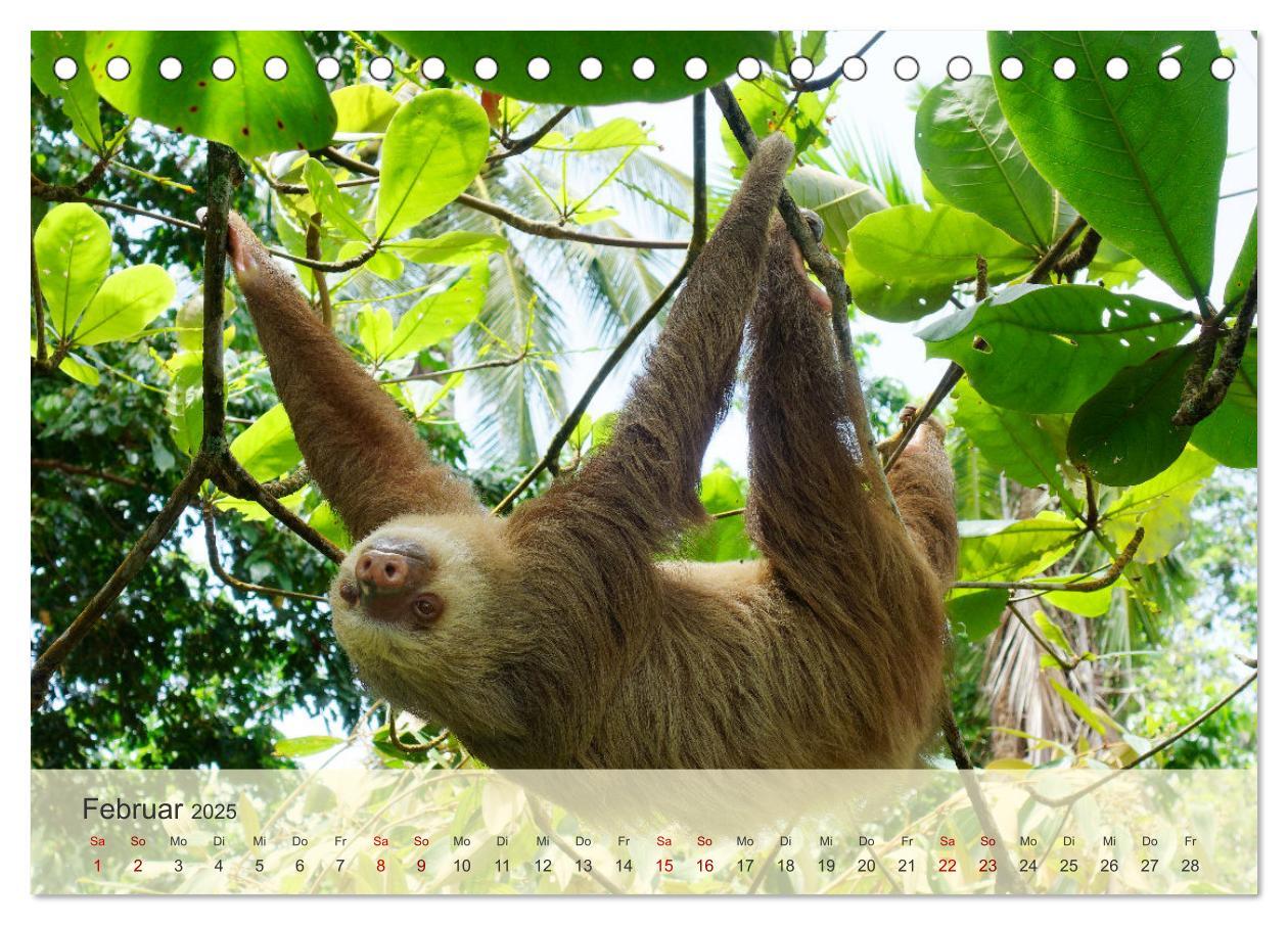 Bild: 9783383842764 | Bekanntes und Unbekanntes Costa Rica (Tischkalender 2025 DIN A5...