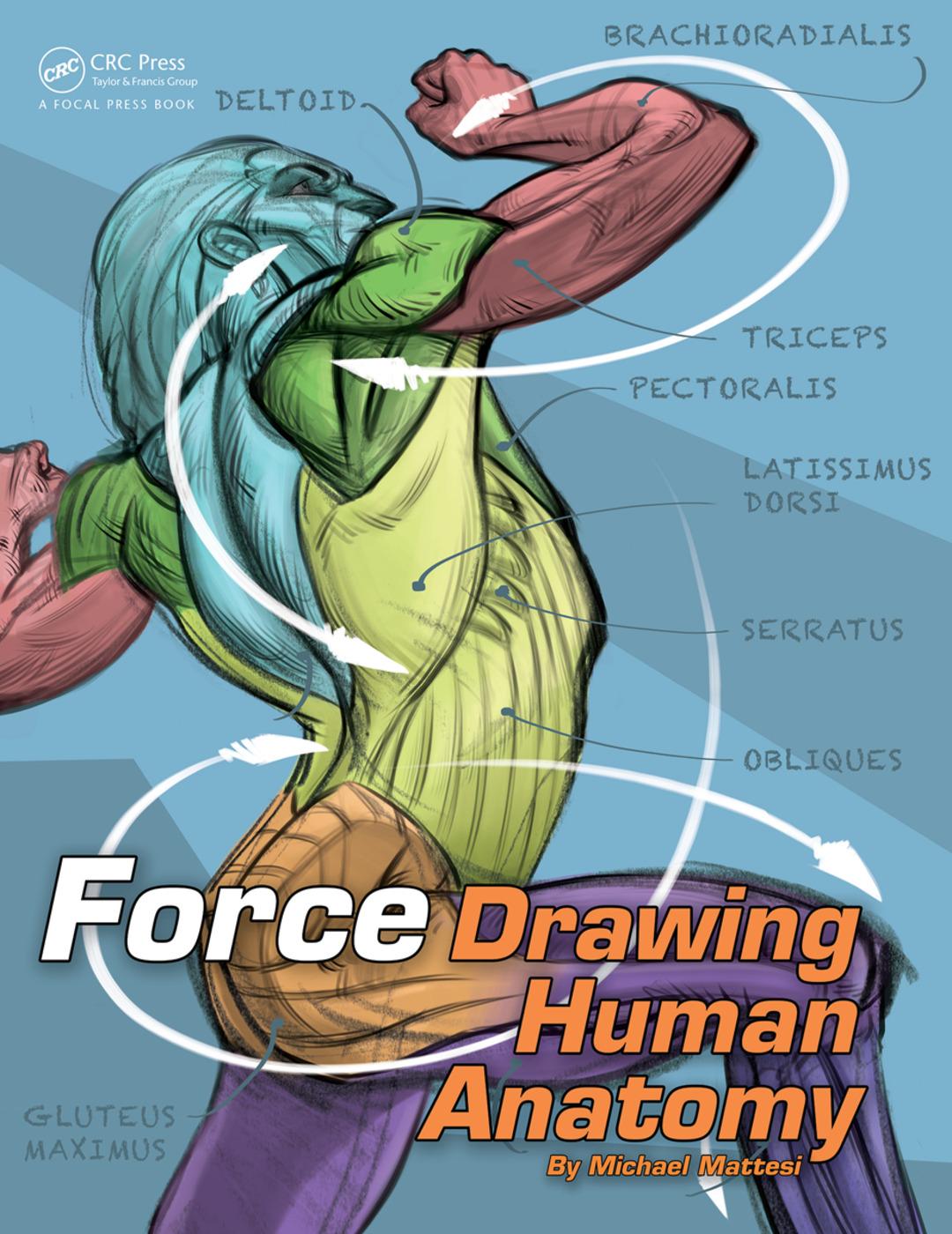 Cover: 9780415733977 | FORCE: Drawing Human Anatomy | Mike Mattesi | Force Drawing Series