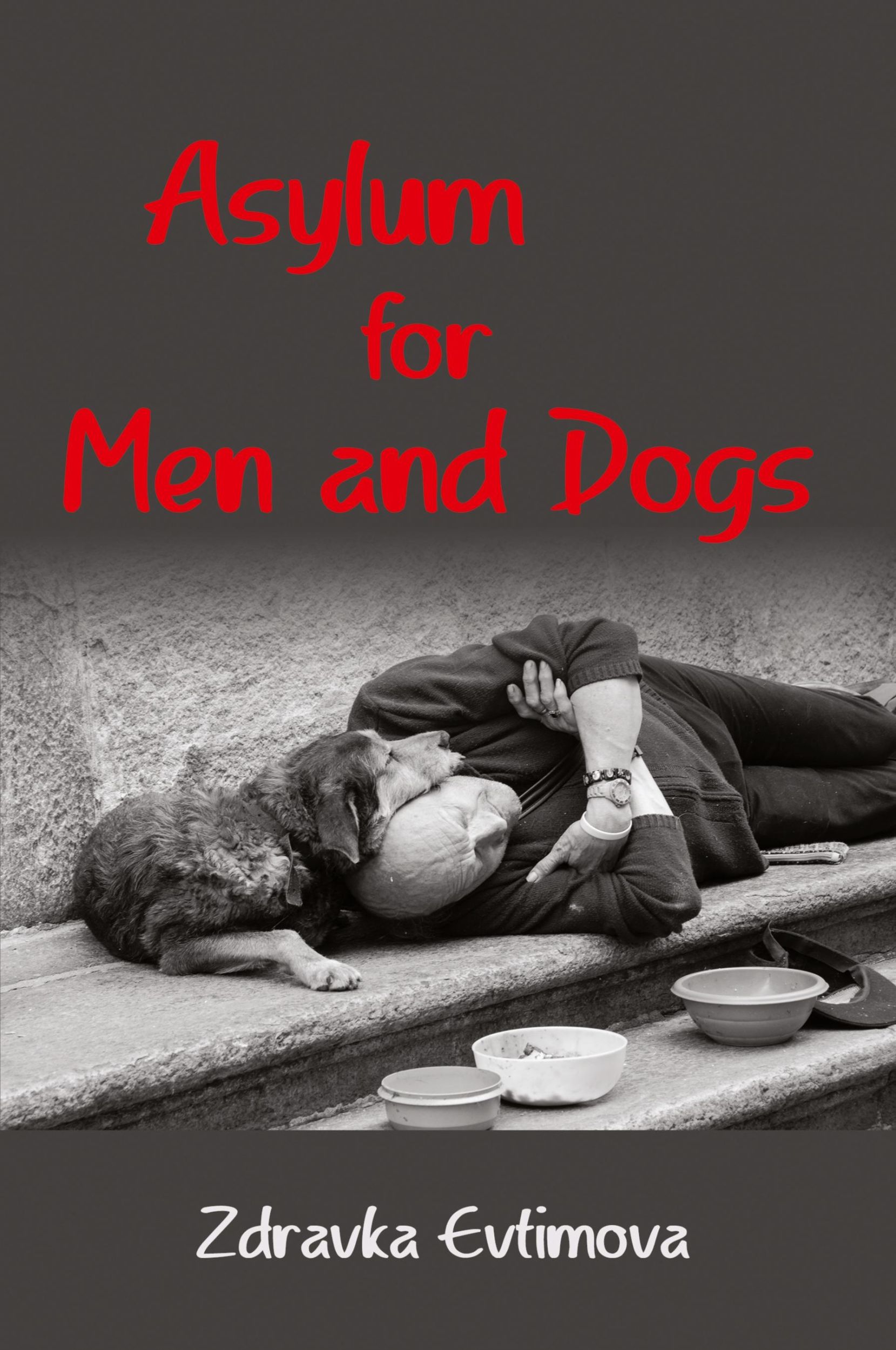 Cover: 9781953236784 | Asylum for Men and Dogs | Zdravka Evtimova | Taschenbuch | Englisch