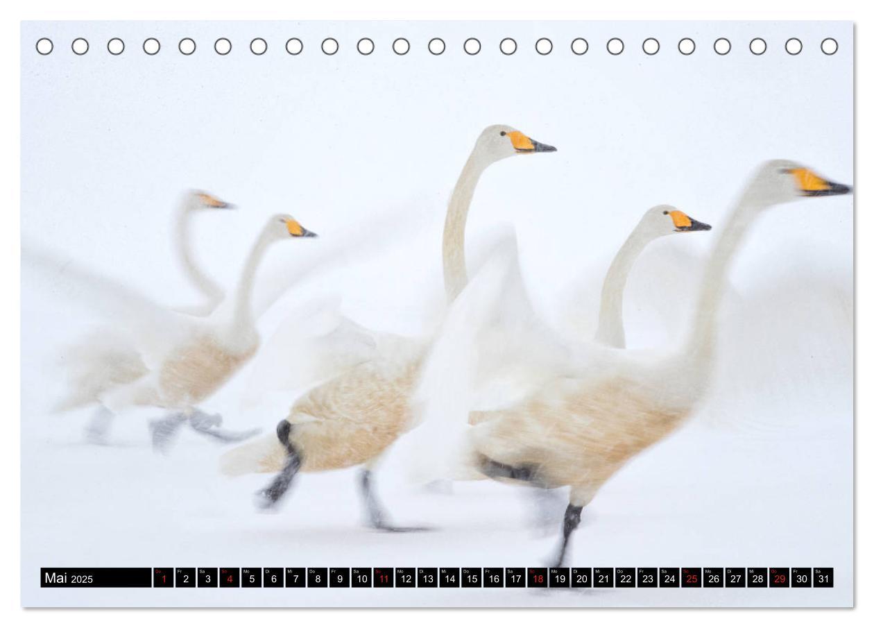 Bild: 9783435292103 | Japanische Vogelwelt im Winter (Tischkalender 2025 DIN A5 quer),...