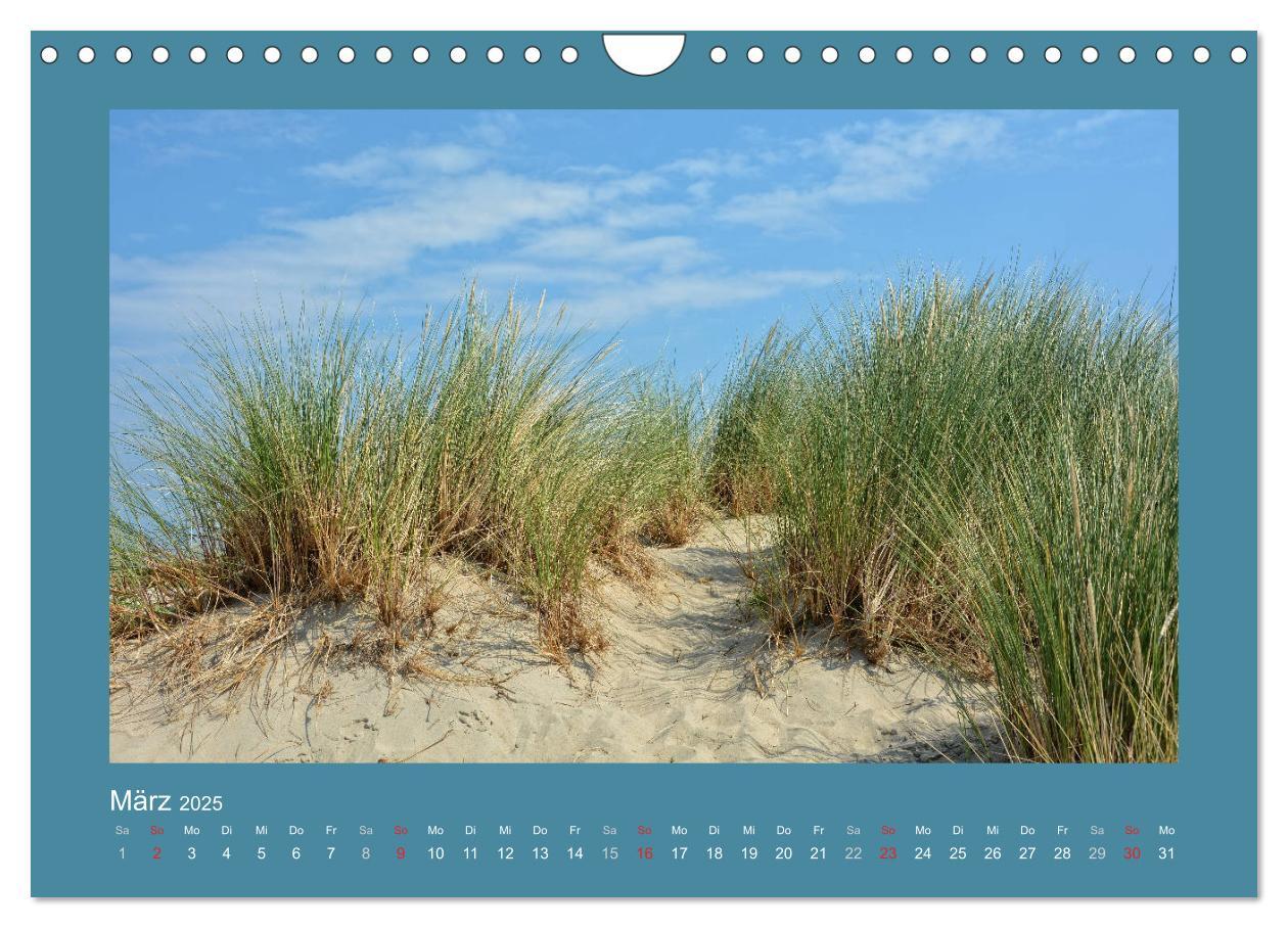 Bild: 9783435276707 | Sanddünen an der Nordsee in den Niederlanden (Wandkalender 2025 DIN...