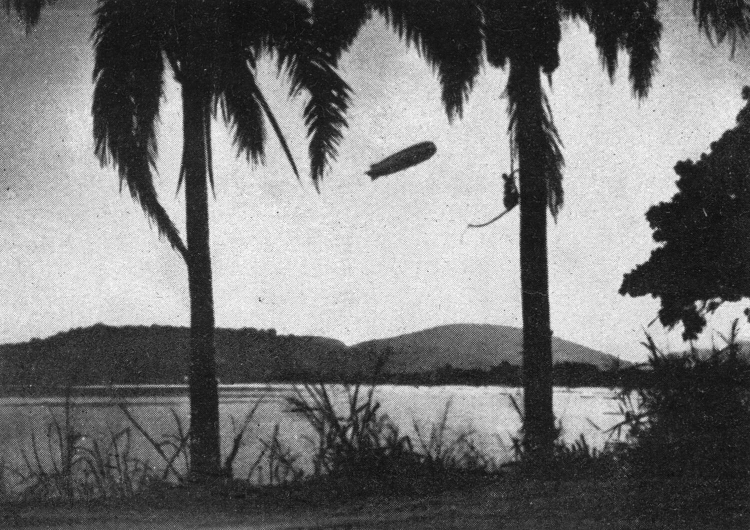 Bild: 9783963453267 | Mit Graf Zeppelin und Kondor-Flugzeugen nach Brasilien! | Sonntag