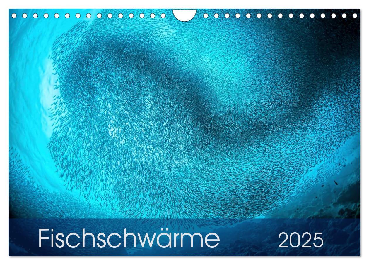 Cover: 9783435611751 | Fischschwärme (Wandkalender 2025 DIN A4 quer), CALVENDO Monatskalender