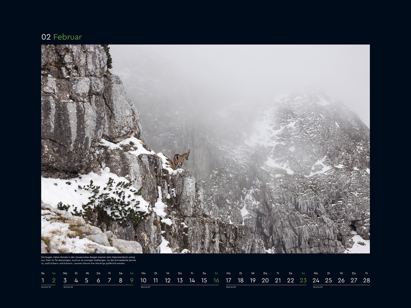 Bild: 9783965913653 | Wildnis Alpen - KUNTH Wandkalender 2025 | Kalender | 14 S. | Deutsch