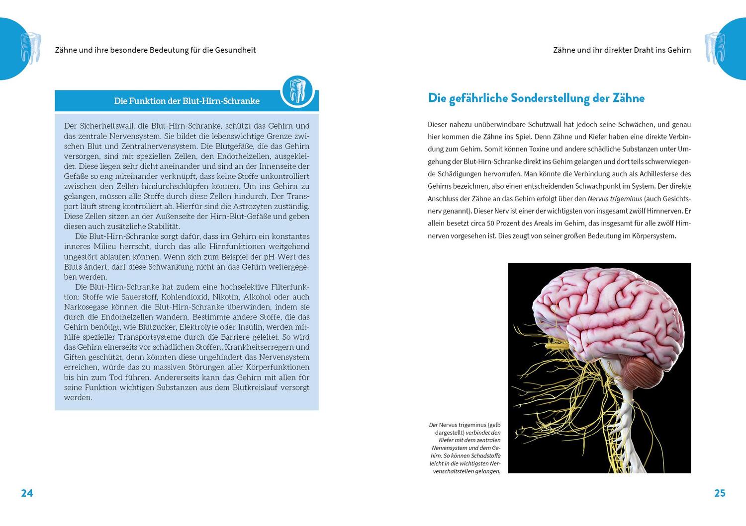 Bild: 9783742322906 | Die geheime Kraft der Zähne | Alexander Neubauer | Taschenbuch | 2023