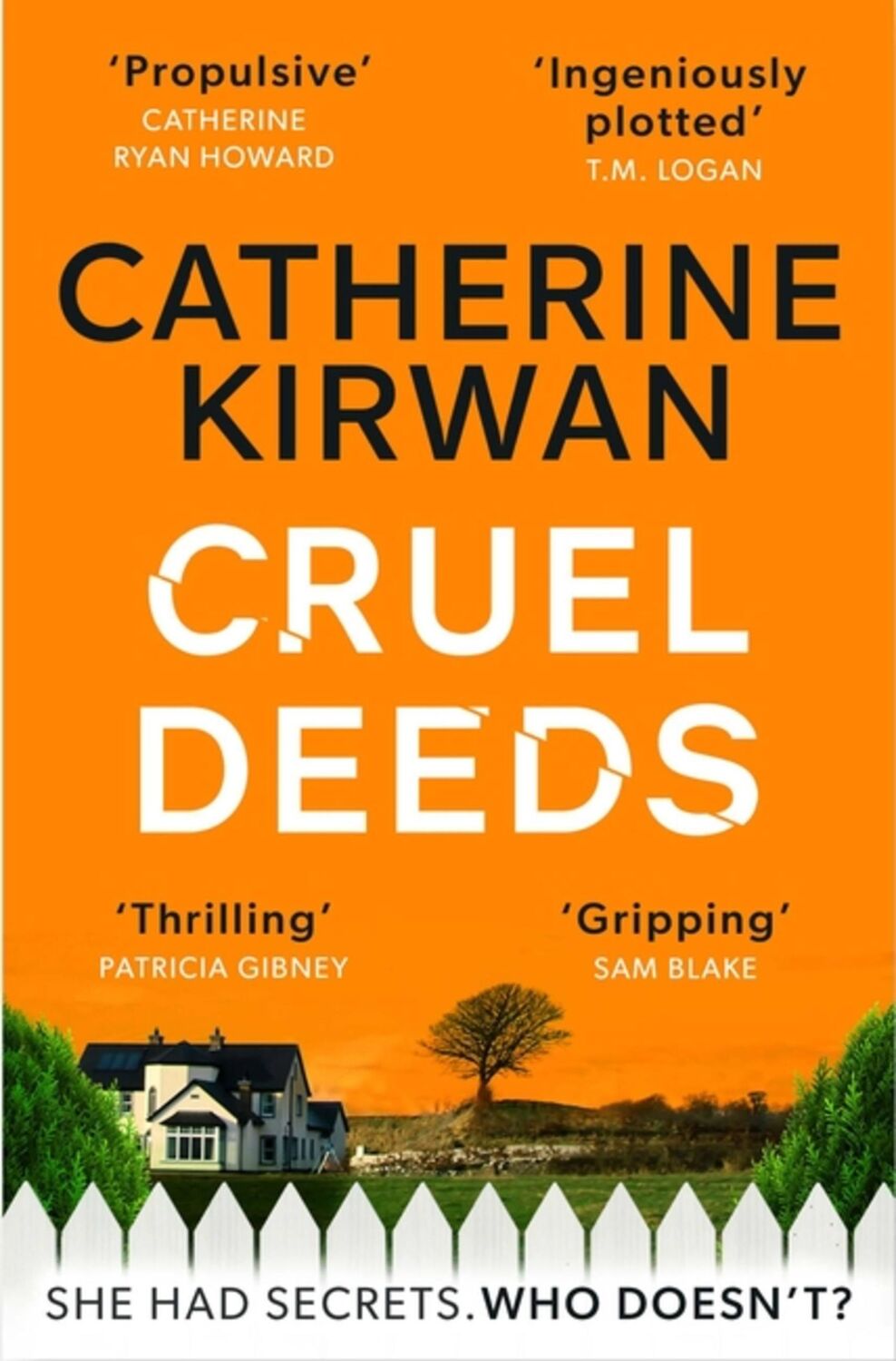 Cover: 9781529381412 | Cruel Deeds | A sharp, pacy and twist-filled thriller | Kirwan | Buch