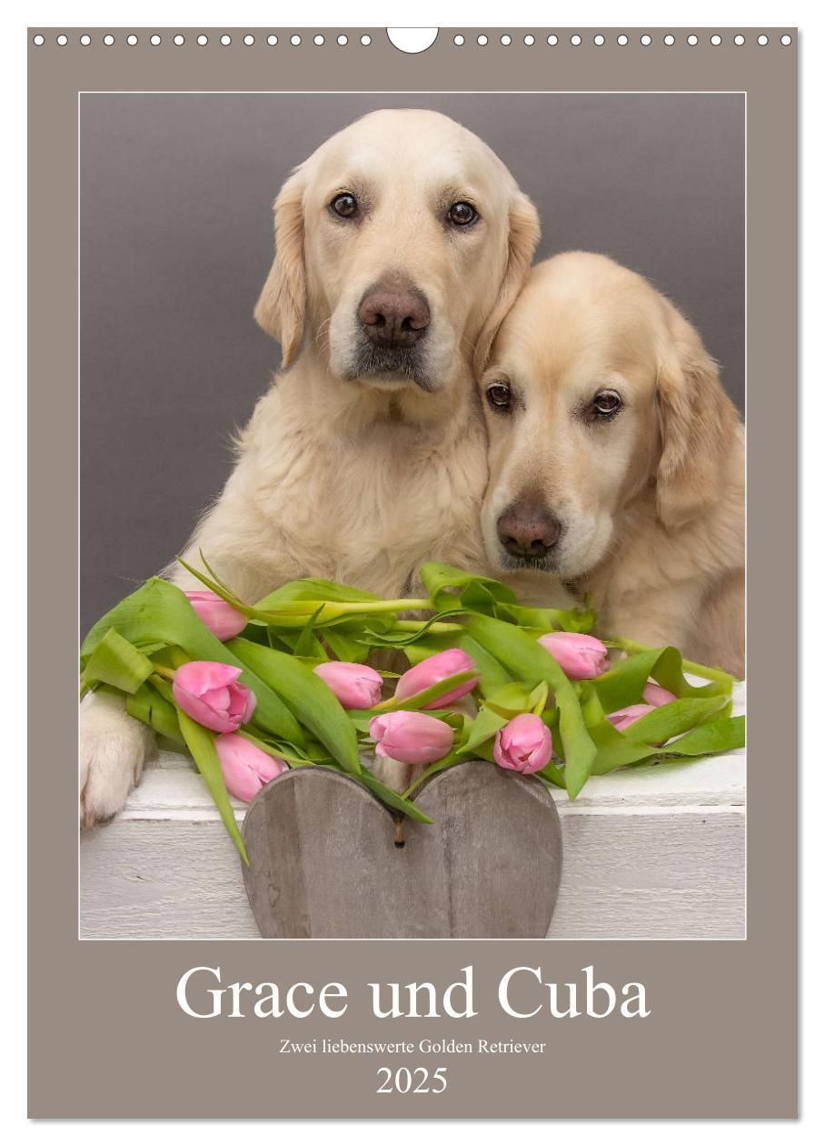 Cover: 9783435947713 | Grace und Cuba - Zwei liebenswerte Golden Retriever (Wandkalender...