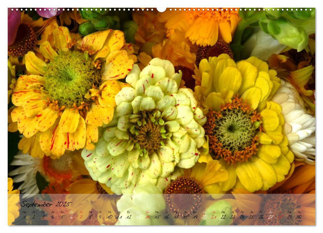 Bild: 9783435619177 | Blüten dicht an dicht (Wandkalender 2025 DIN A2 quer), CALVENDO...