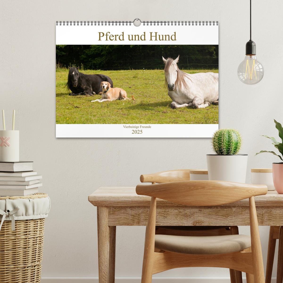 Bild: 9783435274499 | Pferd und Hund - Vierbeinige Freunde (Wandkalender 2025 DIN A3...