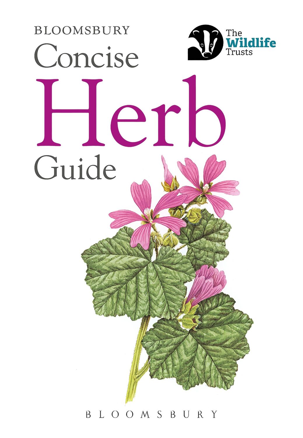 Cover: 9781472968272 | Concise Herb Guide | Bloomsbury | Taschenbuch | Englisch | 2019