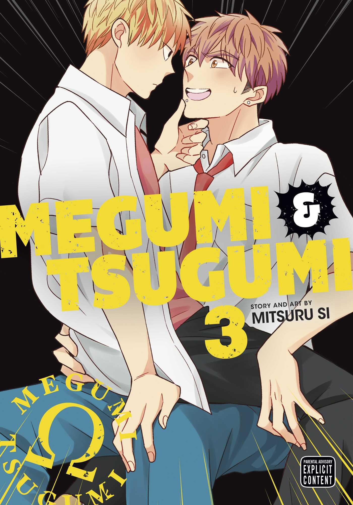 Cover: 9781974738892 | Megumi &amp; Tsugumi, Vol. 3 | Mitsuru Si | Taschenbuch | Englisch | 2023