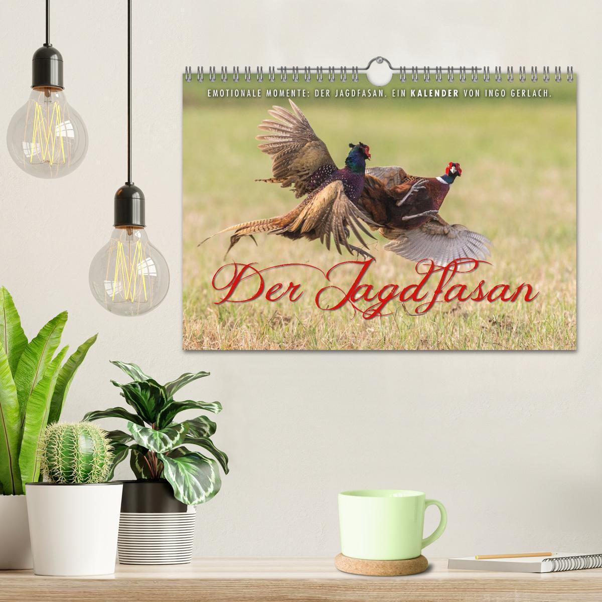 Bild: 9783435598076 | Emotionale Momente: Der Jagdfasan. (Wandkalender 2025 DIN A4 quer),...