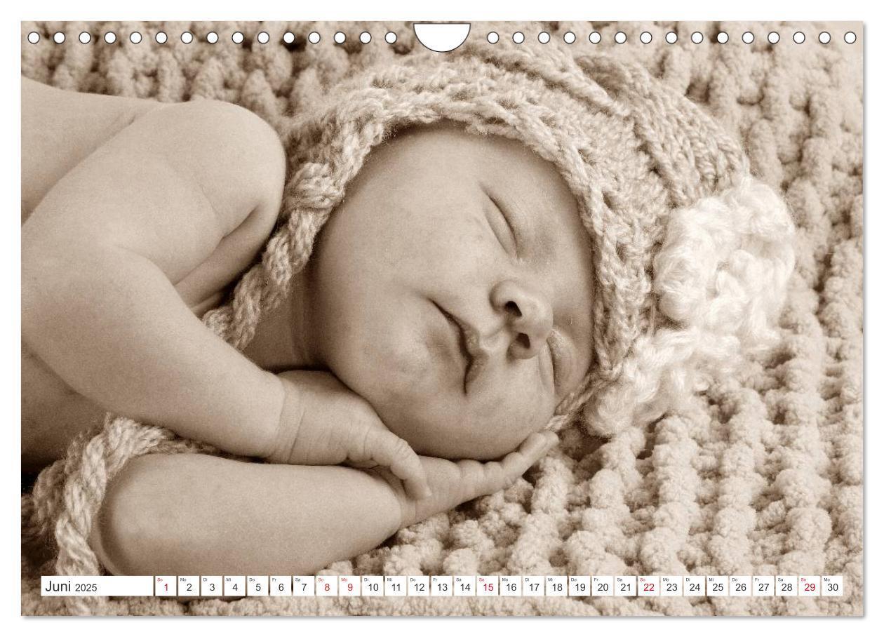 Bild: 9783435707362 | Babys - Willkommen im Leben (Wandkalender 2025 DIN A4 quer),...