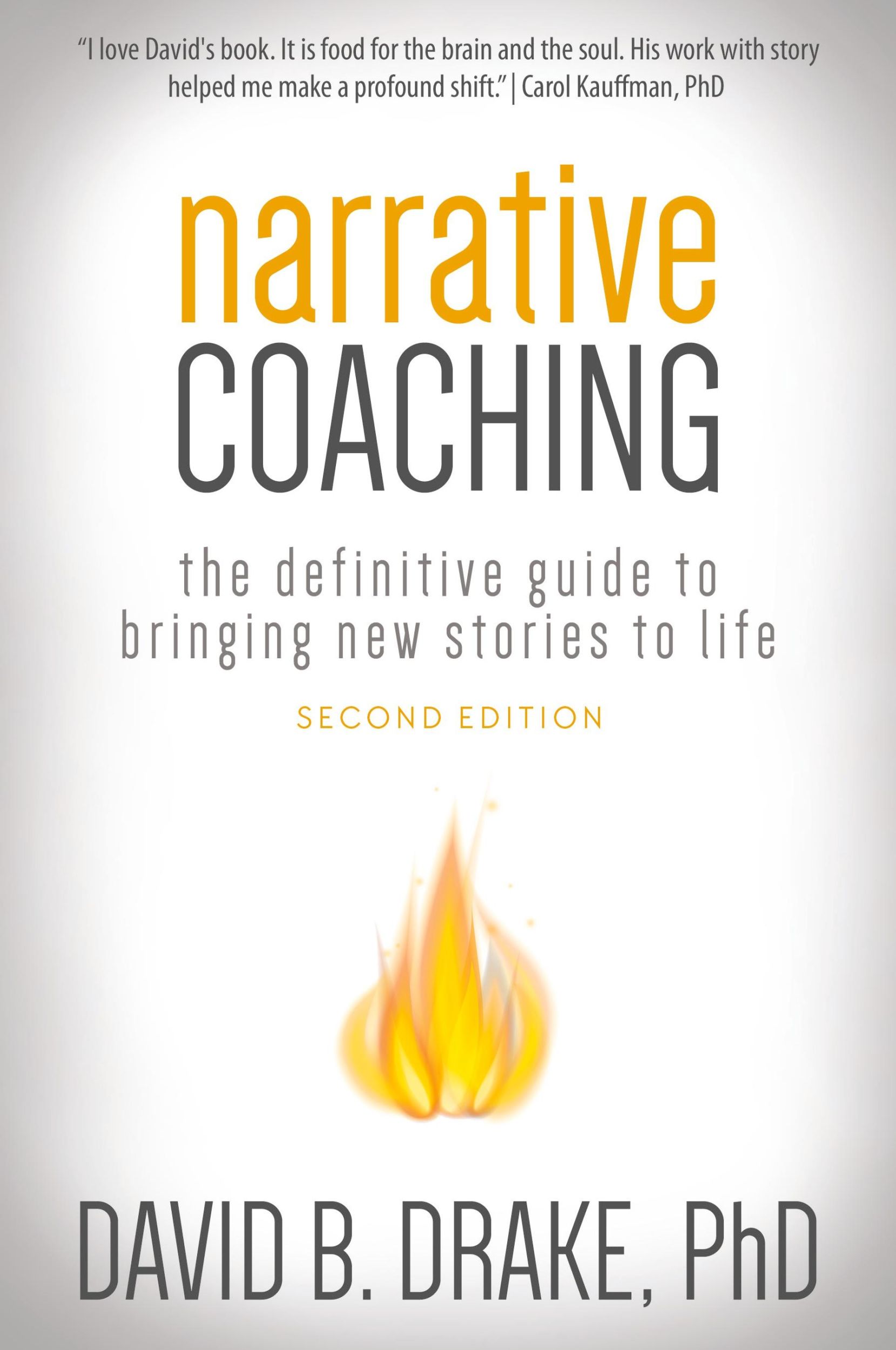 Cover: 9780996356312 | Narrative Coaching | David B Drake | Taschenbuch | Englisch | 2017