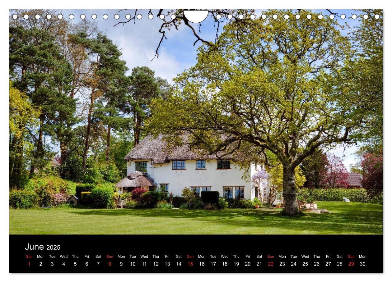 Bild: 9781325951833 | New Forest Hampshire (Wall Calendar 2025 DIN A4 landscape),...