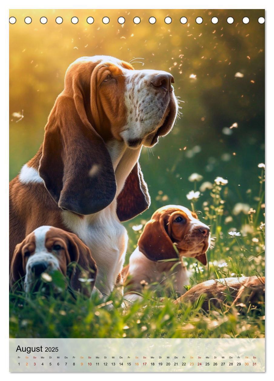 Bild: 9783383779923 | Basset Hound - freundlich und anhänglich (Tischkalender 2025 DIN A5...