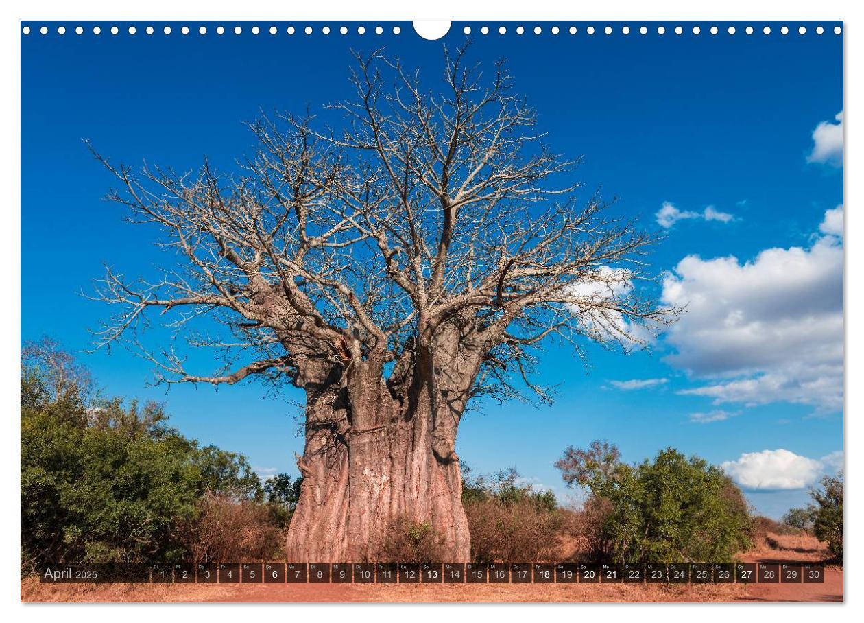 Bild: 9783435657179 | Südafrika - Die Landschaft (Wandkalender 2025 DIN A3 quer),...