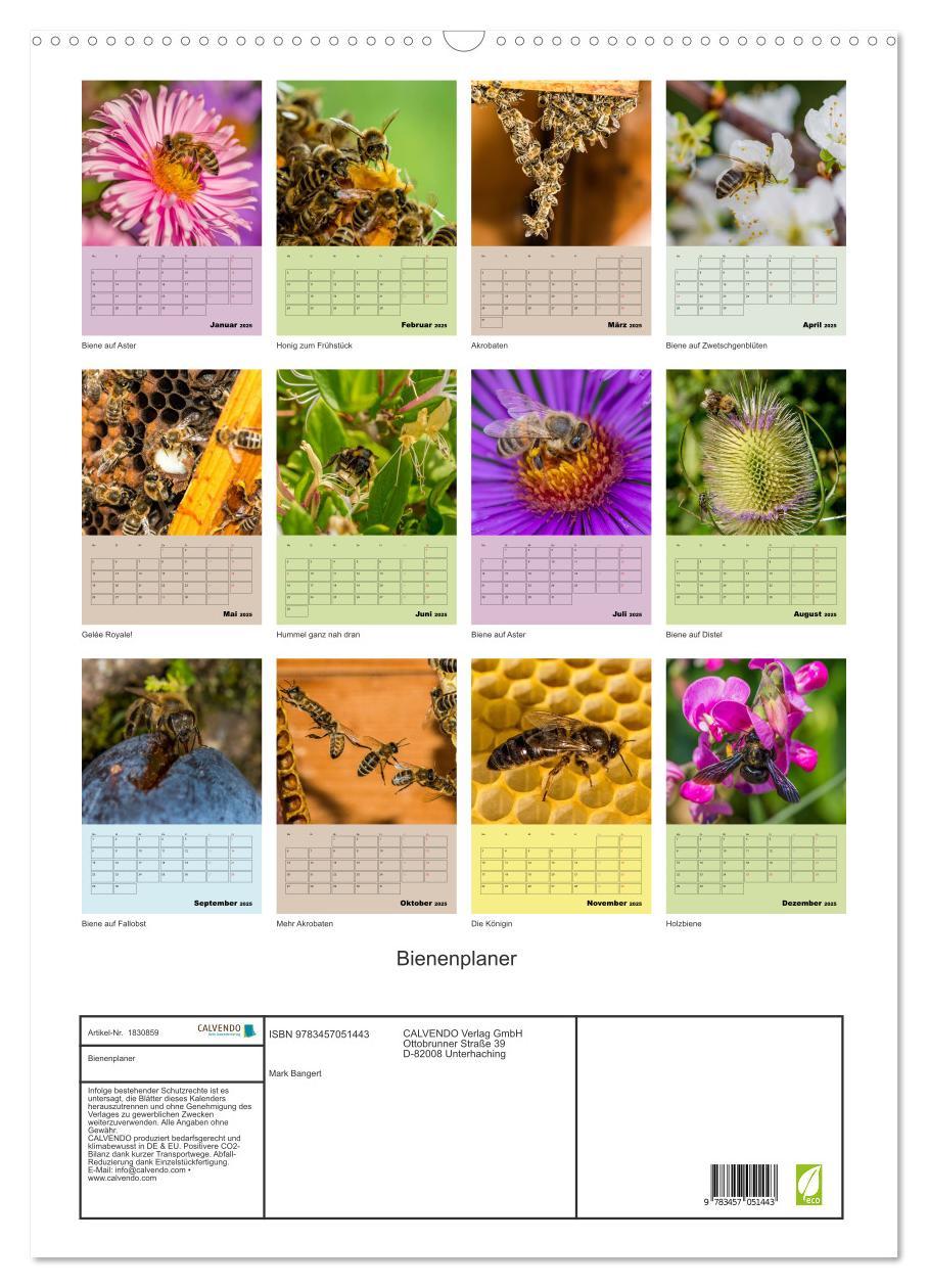 Bild: 9783457051443 | Bienenplaner (Wandkalender 2025 DIN A2 hoch), CALVENDO Monatskalender