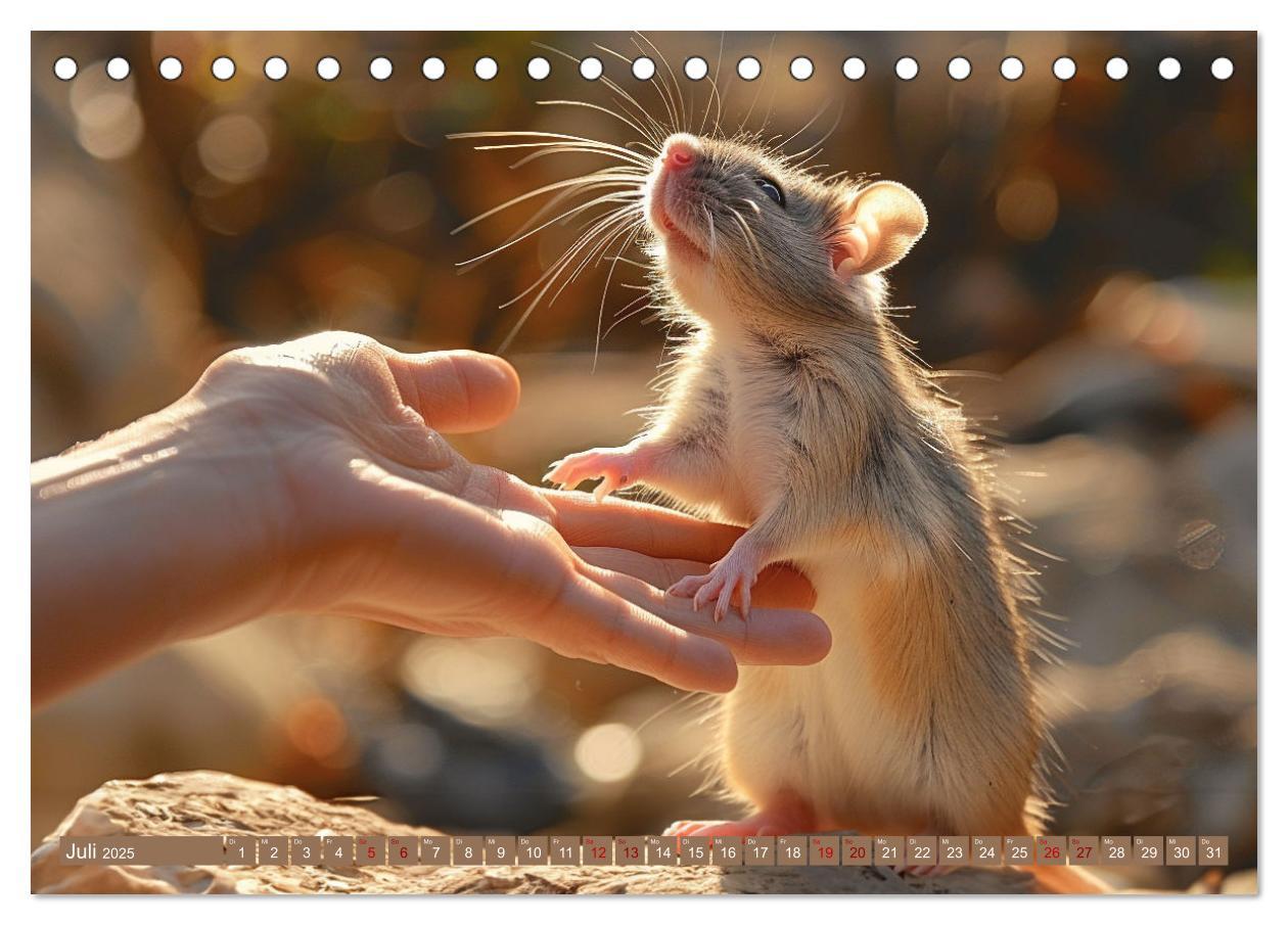 Bild: 9783383813948 | Mein bester Kumpel ist eine Ratte (Tischkalender 2025 DIN A5 quer),...