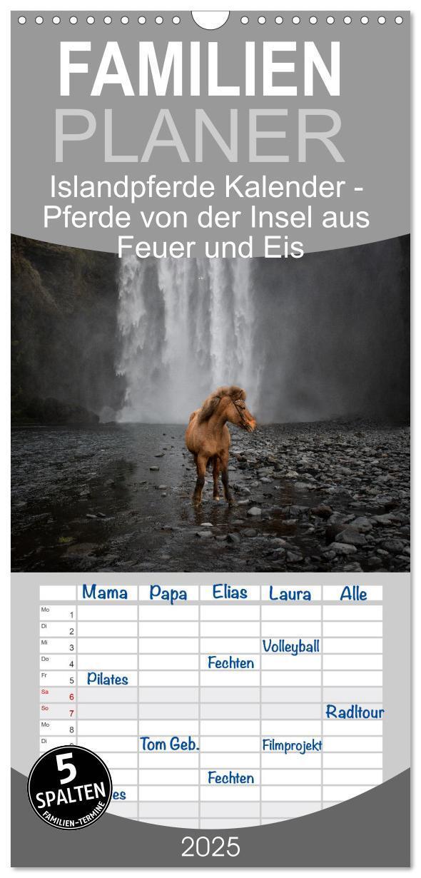 Cover: 9783457101568 | Familienplaner 2025 - Islandpferde Kalender - Pferde von der Insel...