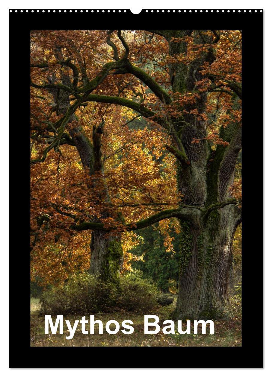 Cover: 9783457088869 | Mythos Baum / 2025 (Wandkalender 2025 DIN A2 hoch), CALVENDO...