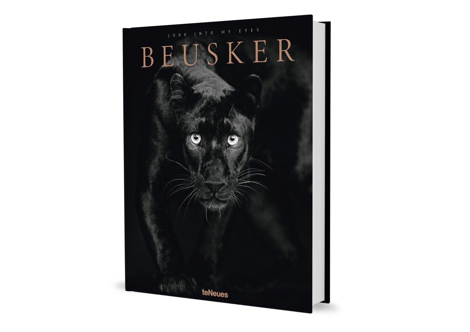 Bild: 9783961714964 | Beusker | Look into my Eyes | Lars Beusker | Buch | 224 S. | Deutsch