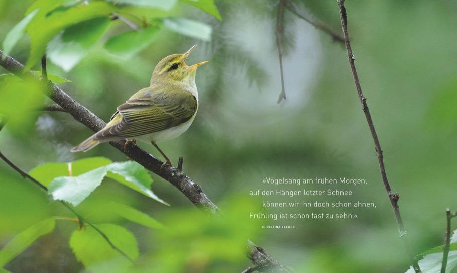 Bild: 9783954162734 | Unsere einzigartige Vogelwelt | Peter Berthold | Buch | 224 S. | 2018