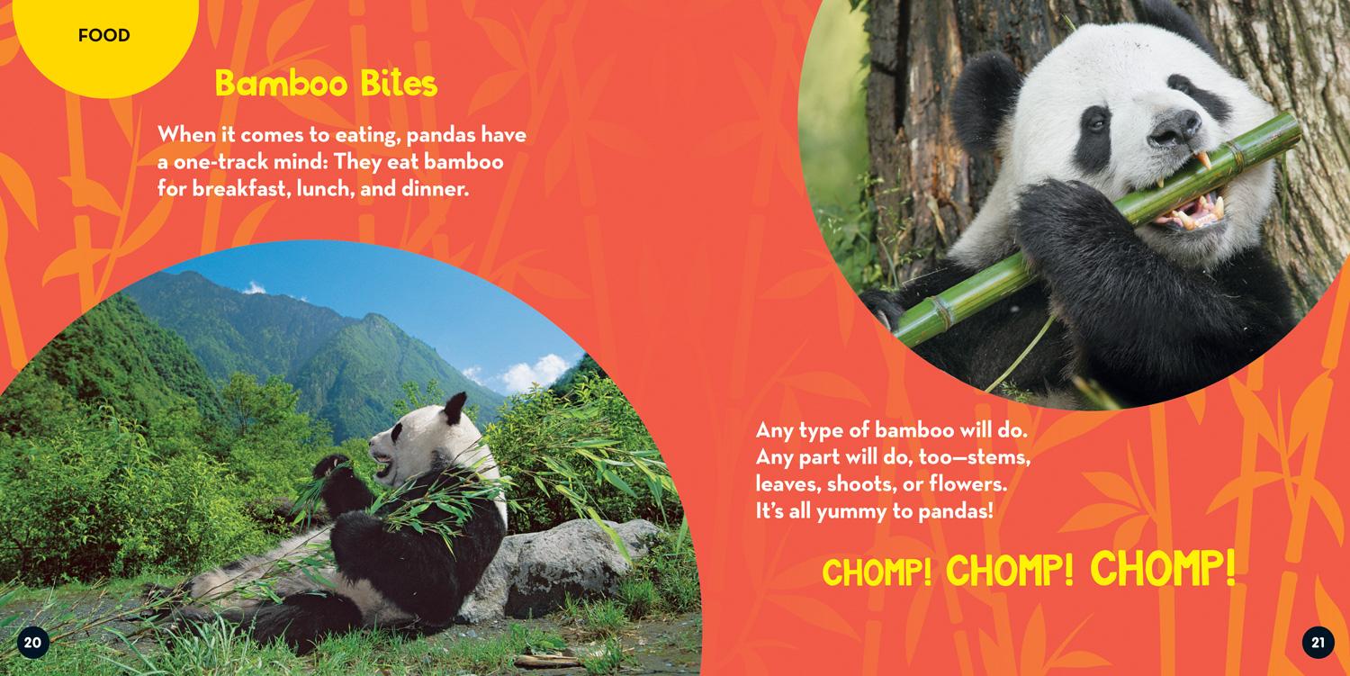 Bild: 9781426371608 | Go Wild! Pandas | Margie Markarian (u. a.) | Taschenbuch | Englisch