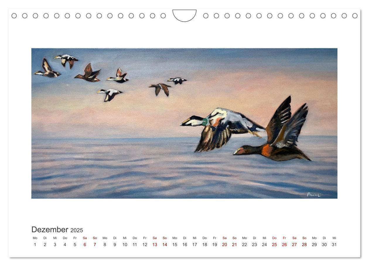 Bild: 9783383836930 | Auf leichten Schwingen - Zugvögel (Wandkalender 2025 DIN A4 quer),...