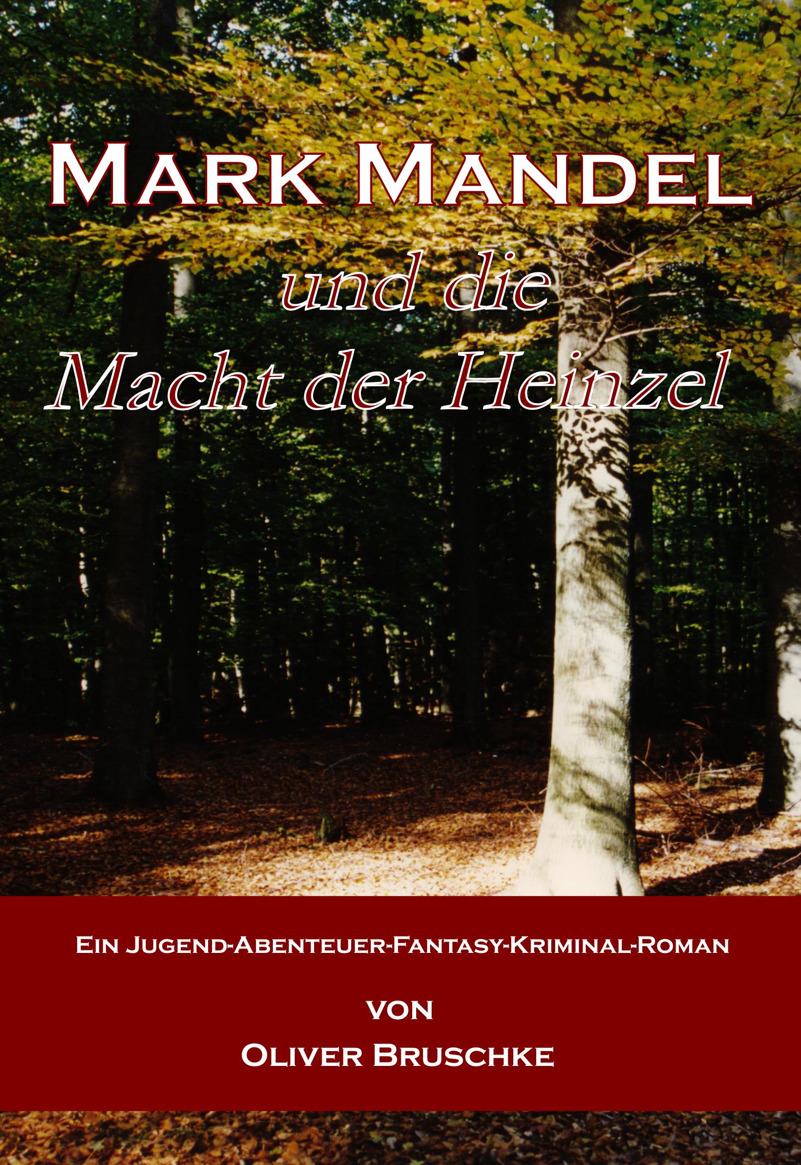 Cover: 9783899064223 | Mark Mandel und die Macht der Heinzel | Oliver Bruschke | Taschenbuch