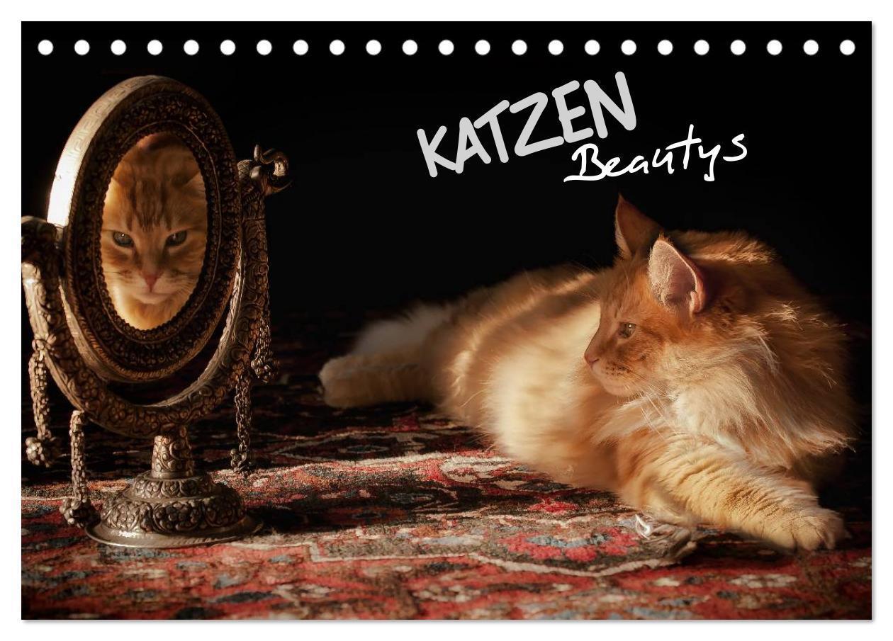 Cover: 9783435632053 | KATZEN Beautys (Tischkalender 2025 DIN A5 quer), CALVENDO...