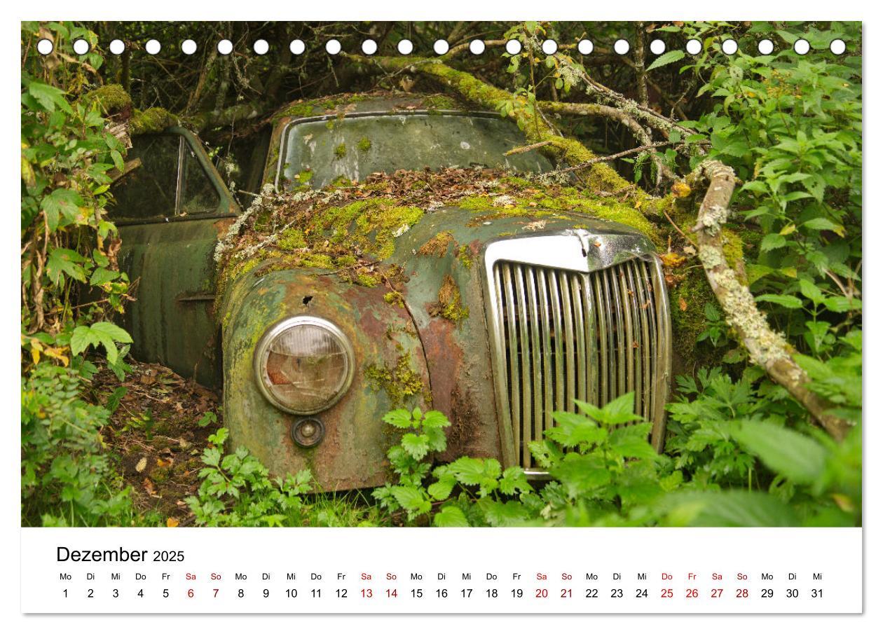 Bild: 9783435414130 | Rostende Legenden (Tischkalender 2025 DIN A5 quer), CALVENDO...