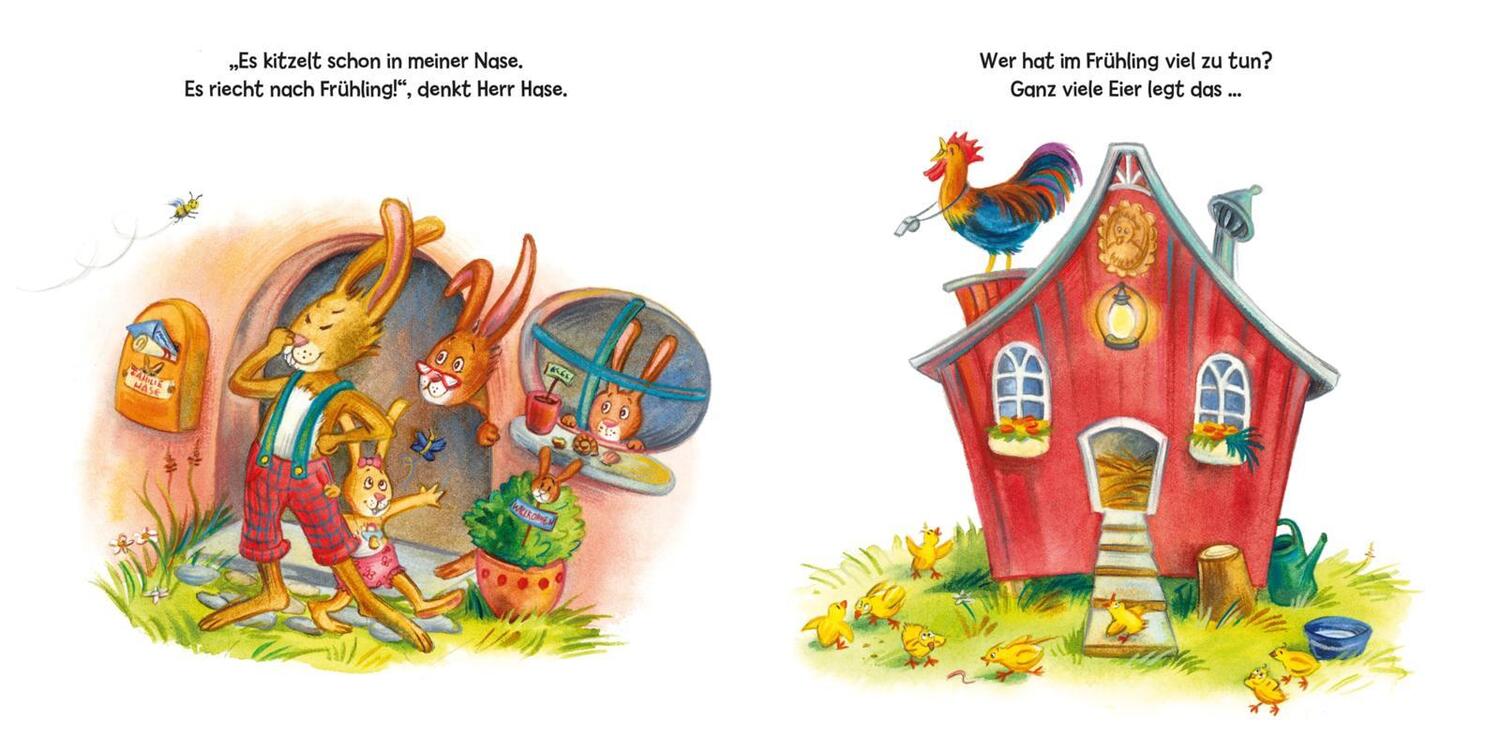 Bild: 9783551171115 | Wer hockt im Grase? Der ... Osterhase! | Sandra Grimm | Buch | 12 S.