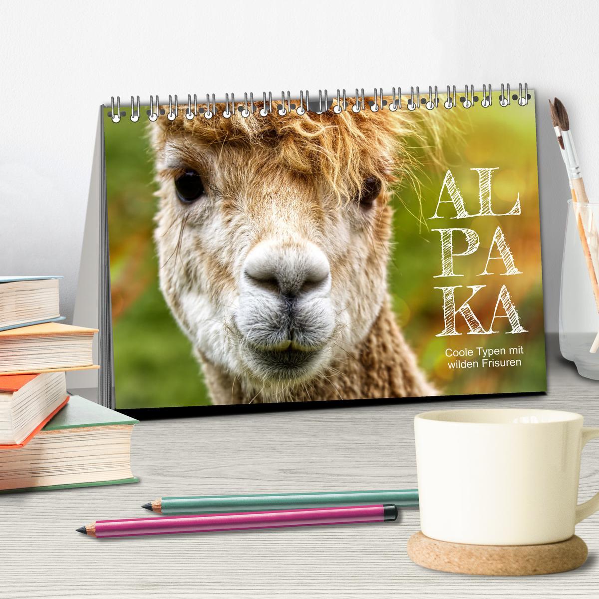 Bild: 9783383982705 | Alpaka, coole Typen mit wilden Frisuren (Tischkalender 2025 DIN A5...