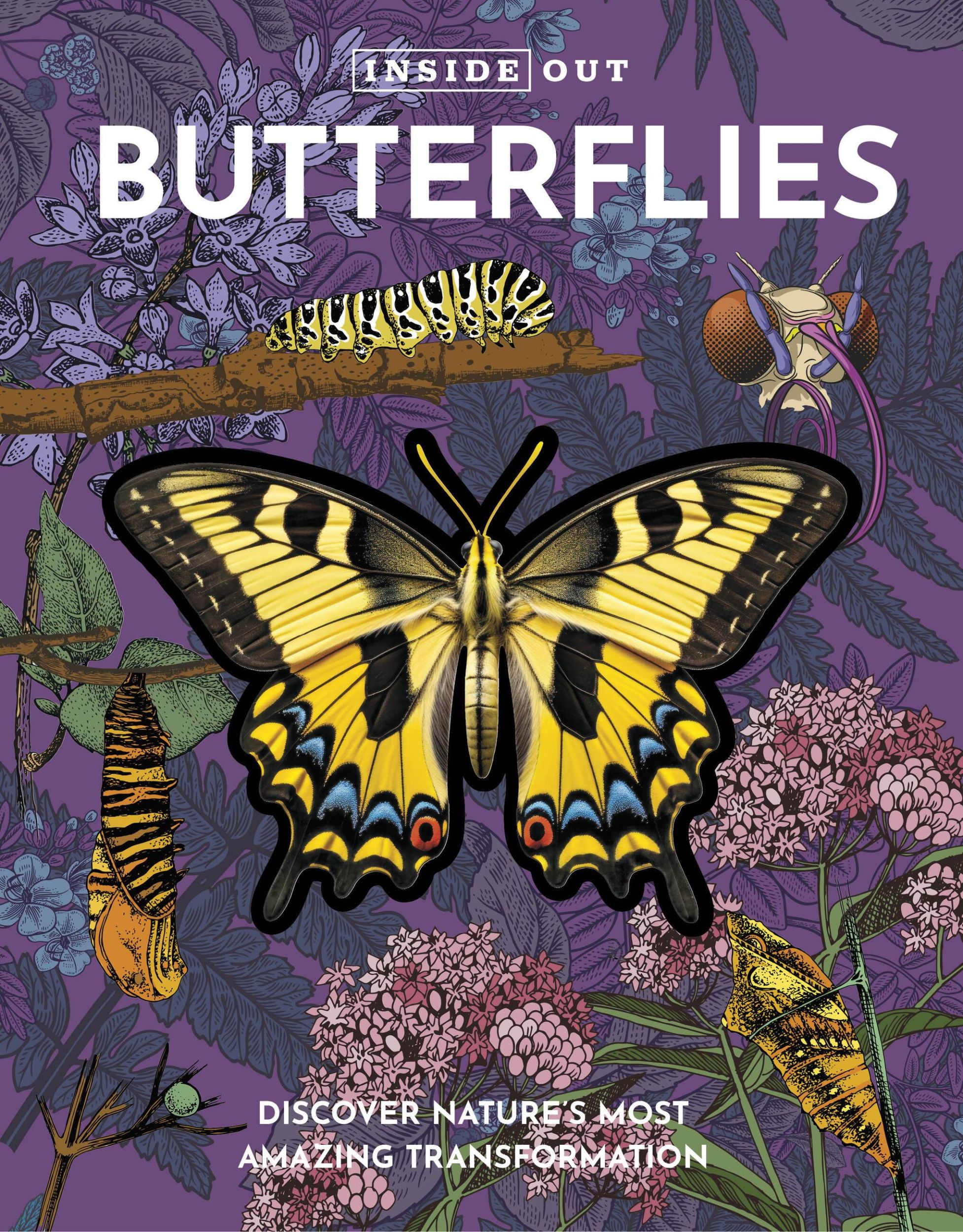 Cover: 9780785844754 | Inside Out Butterfly | Discover Nature's Most Amazing Transformation