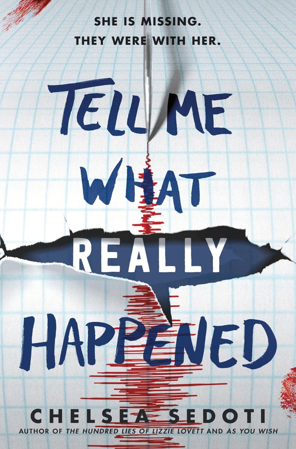 Cover: 9781492673057 | Tell Me What Really Happened | Chelsea Sedoti | Buch | Gebunden | 2022