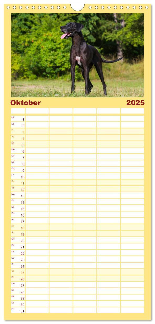 Bild: 9783457113523 | Familienplaner 2025 - Deutsche Dogge mit 5 Spalten (Wandkalender,...