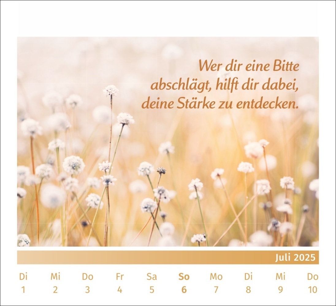 Bild: 9783840196072 | PAL - Der Lebensfreude Tischkalender 2025 | Rolf Merkle Doris Wolf