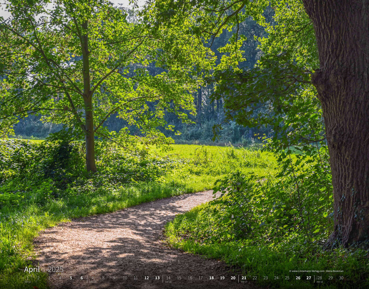 Bild: 9783862923427 | Wandern 2025 Großformat-Kalender 58 x 45,5 cm | Hiking 2025 | Verlag