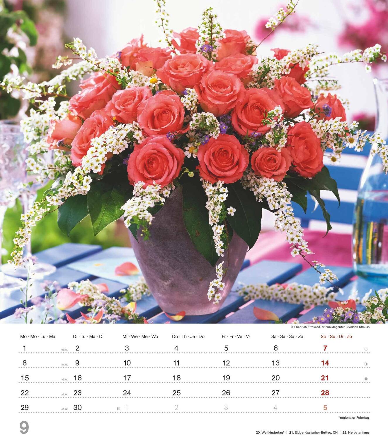 Bild: 4251732342135 | Der Duft der Rosen 2025 - Bildkalender 30x34 cm - Kalender mit wohl...