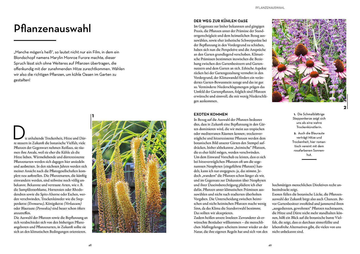 Bild: 9783440174098 | Oase - kühler Garten | Markus Meyer | Taschenbuch | Deutsch | 2022