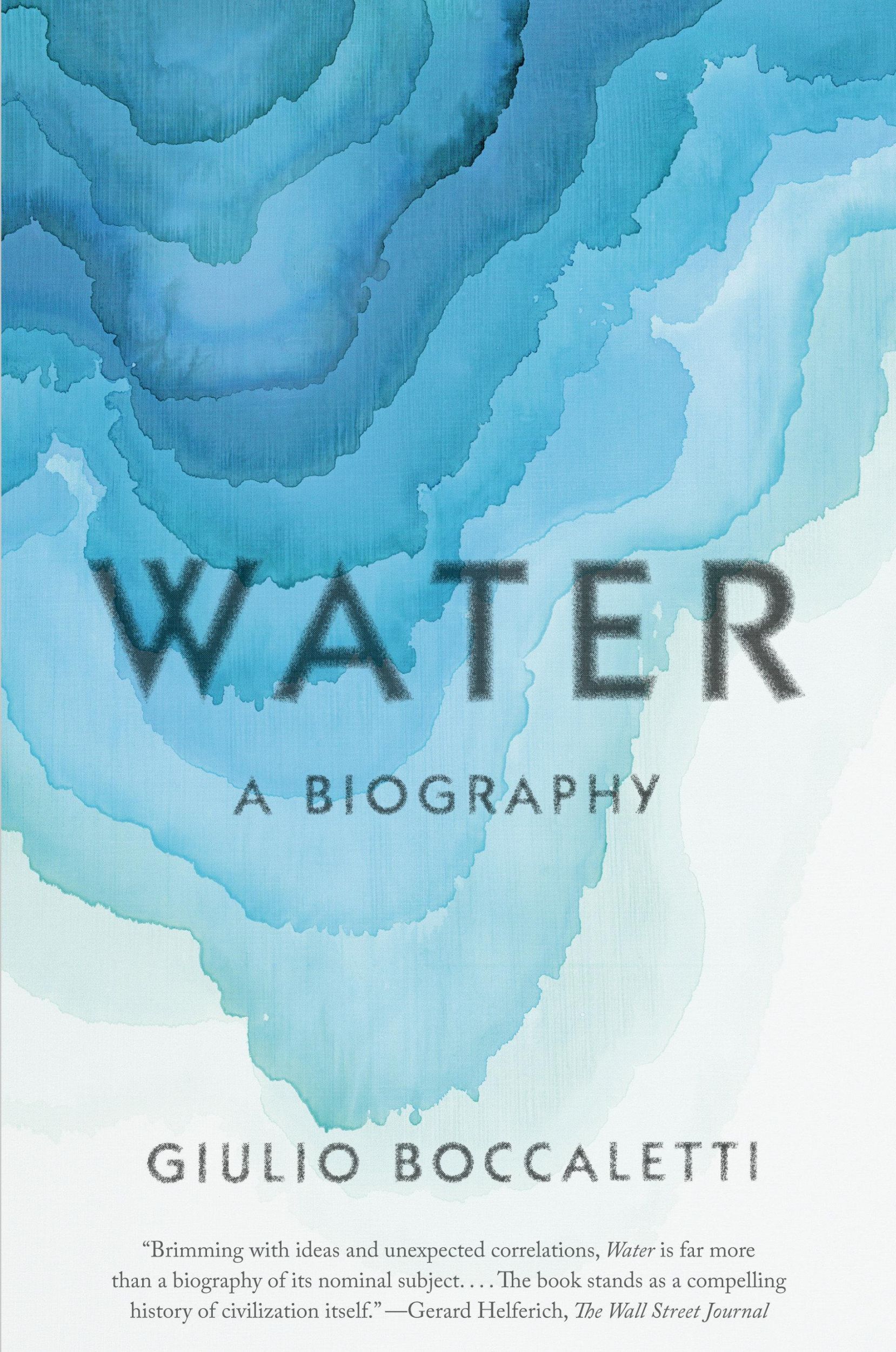 Cover: 9780525566007 | Water | A Biography | Giulio Boccaletti | Taschenbuch | Englisch