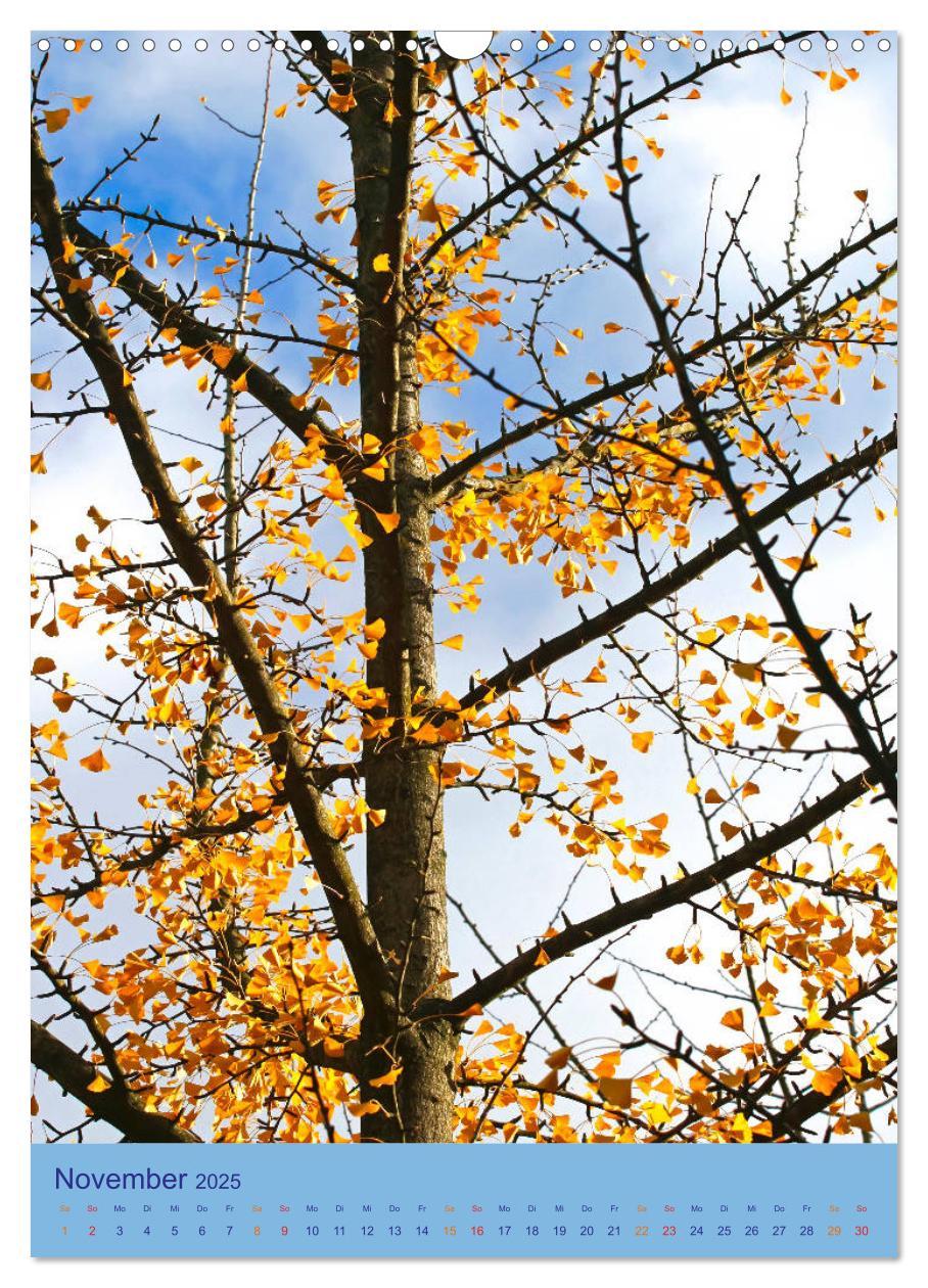 Bild: 9783435974894 | Ginkgo (Wandkalender 2025 DIN A3 hoch), CALVENDO Monatskalender | 2025