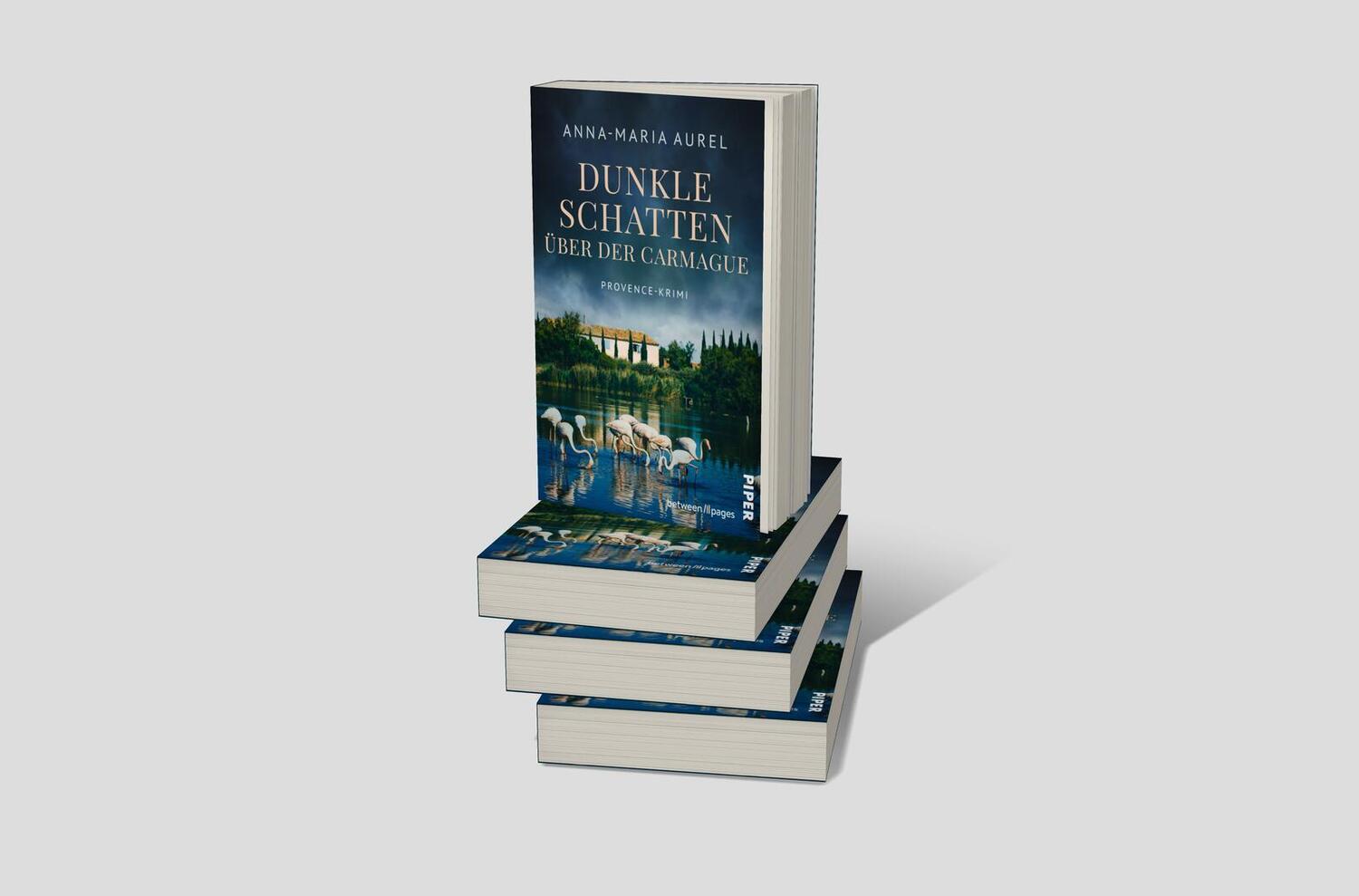 Bild: 9783492508124 | Dunkle Schatten über der Camargue | Anna-Maria Aurel | Taschenbuch