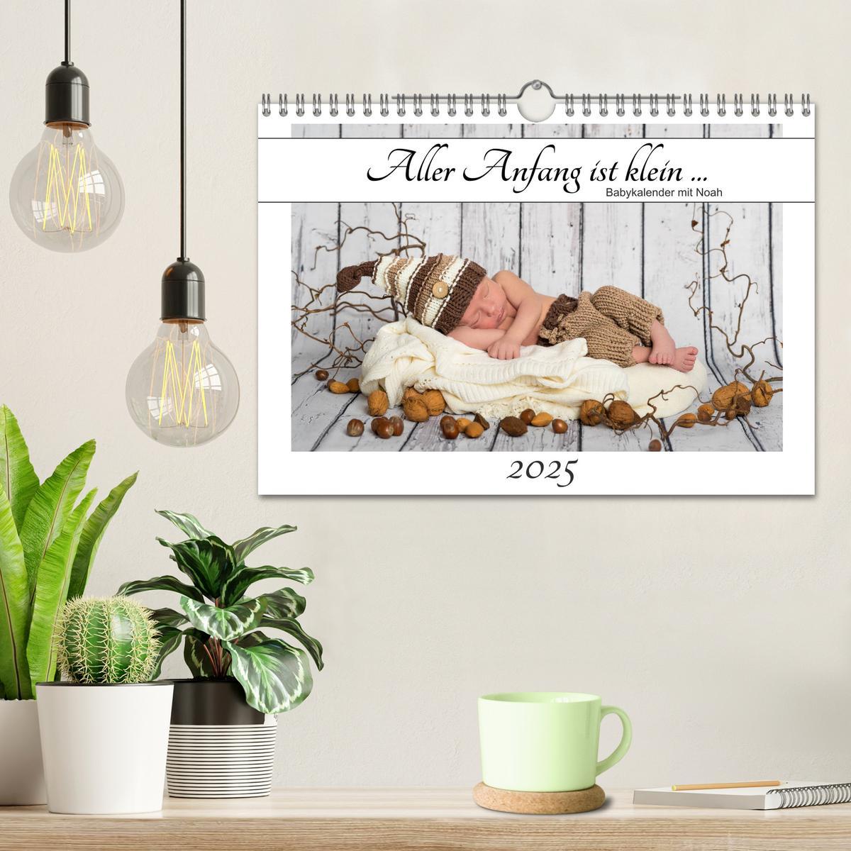 Bild: 9783435438419 | Aller Anfang ist klein - Babykalender mit Noah (Wandkalender 2025...