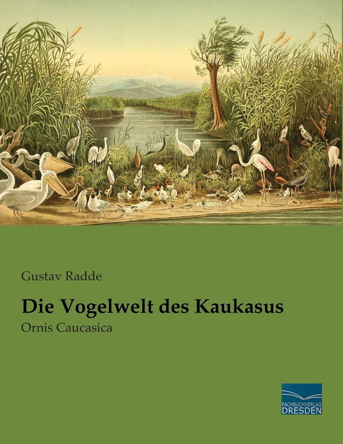 Cover: 9783956923807 | Die Vogelwelt des Kaukasus | Ornis Caucasica | Gustav Radde | Buch