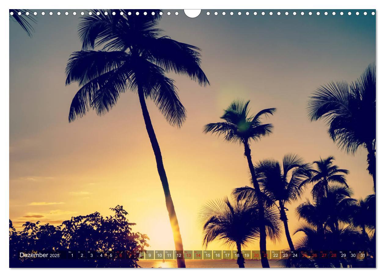 Bild: 9783435270385 | Florida - Sunshine State (Wandkalender 2025 DIN A3 quer), CALVENDO...