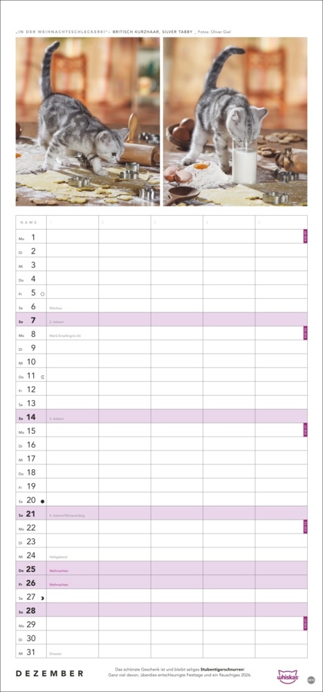 Bild: 9783756405831 | Whiskas Familienplaner 2025 | Kalender | Spiralbindung | 14 S. | 2025