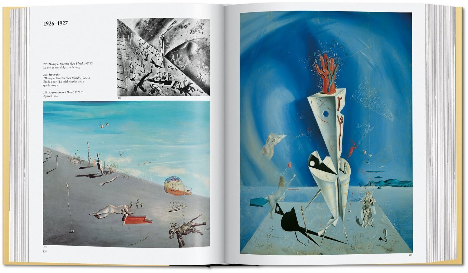 Bild: 9783836576246 | Dalí. The Paintings | Gilles Néret (u. a.) | Buch | 752 S. | Englisch